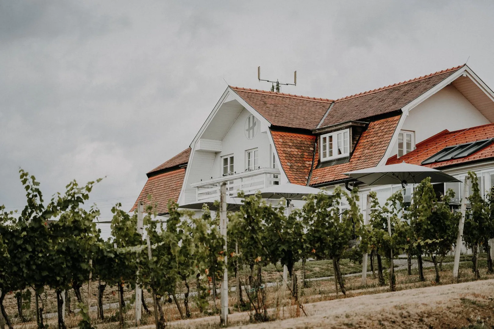 Heiraten im Burgenland: Die 10 schönsten Hochzeitslocations